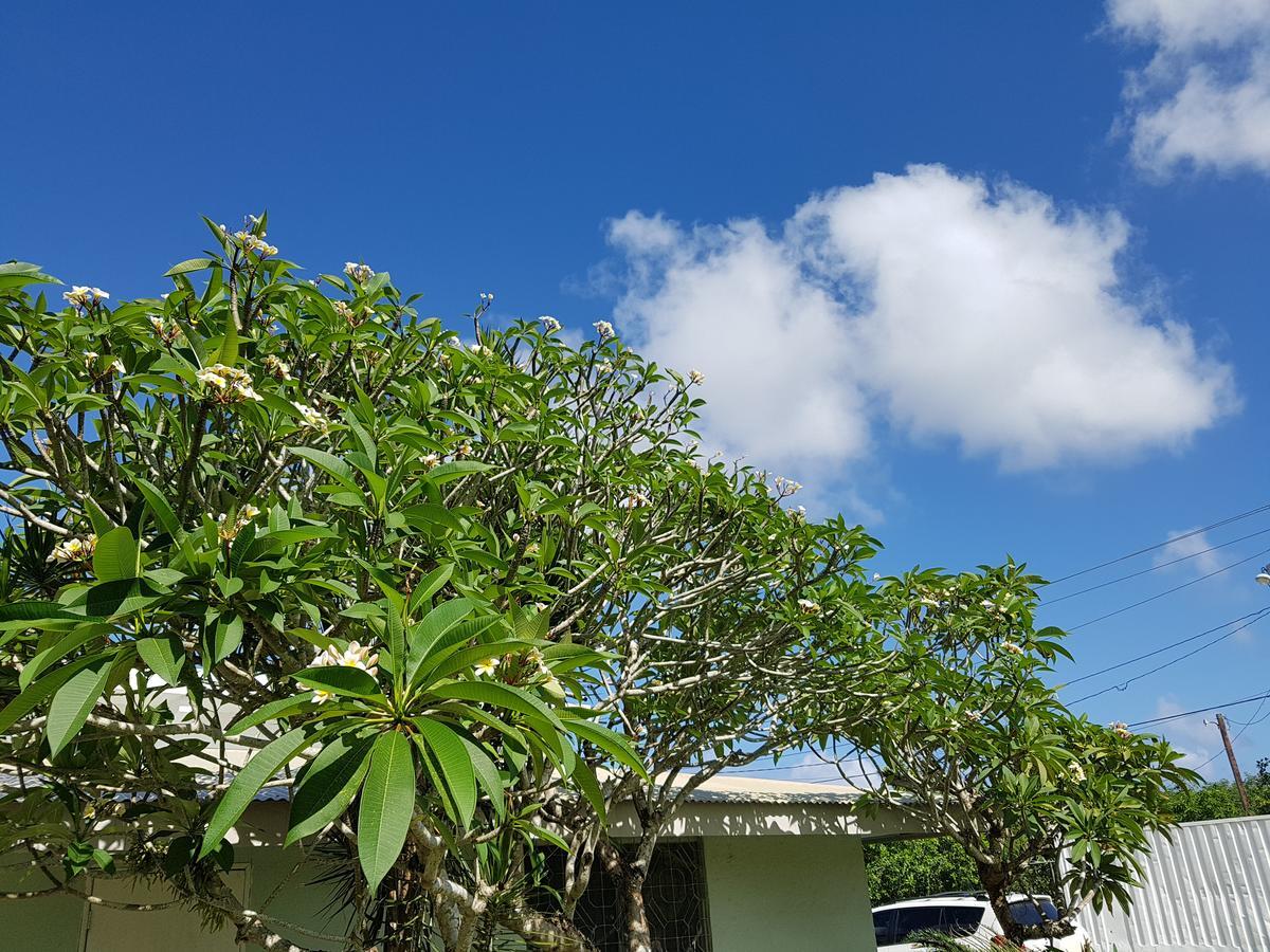 Saipan Family Residence Susupe Esterno foto